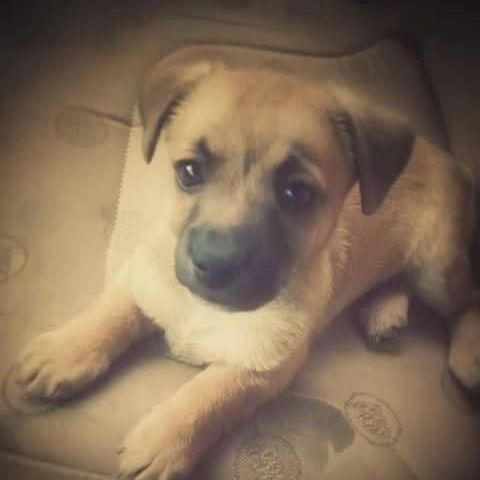 Profile Picture of lisadupont375 (@lisadupont375) on Tiktok