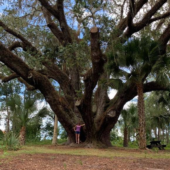 Profile Picture of Stacy Dougherty (@stayck13) on Poshmark