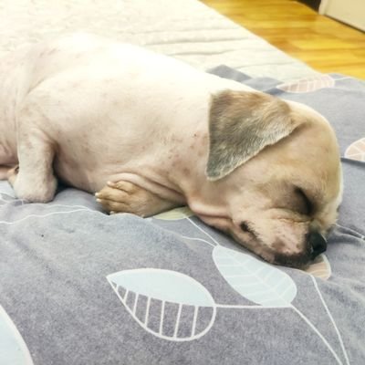 Profile Picture of Markmarkmark_ (@MarkPasco7) on Twitter