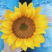 Profile Picture of Sarah Mozzeb (@sarah-mozzeb) on Quora