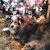Profile Picture of Roberta Clayton (@roberta.clayton.904) on Facebook