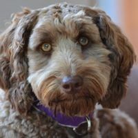 Profile Picture of Kylie Stark (@kylie-stark-5) on Quora