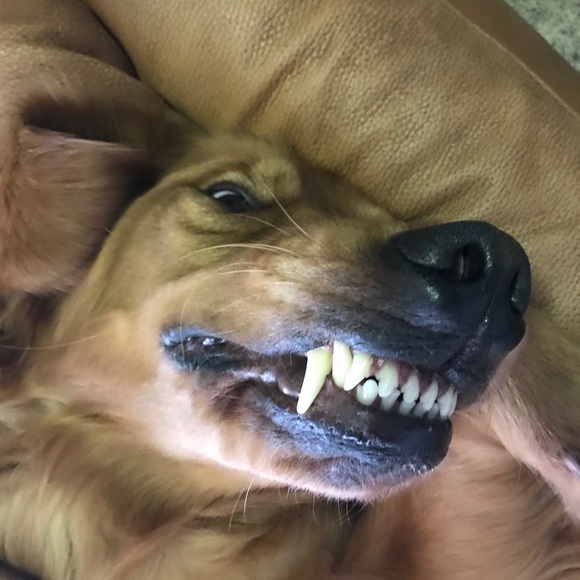 Profile Picture of Rob Barackman (@robbarackman3) on Poshmark