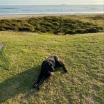 Profile Picture of Carl Sandford ( Bush ) (@carl.sandford) on Instagram