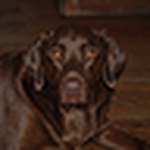 Profile Picture of Sean Murray (@Sean P. Murray) on Flickr
