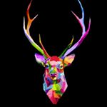 Profile Picture of Omar Islas (@omar.islas.r) on Instagram
