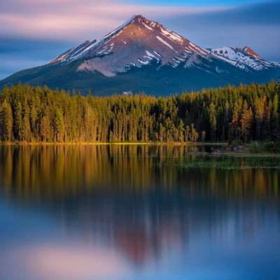 Profile Picture of B Jim (@BettiBopper) on Twitter