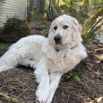 Profile Picture of Jeremy Kasitz (@Jeremy-Kasitz) on Facebook