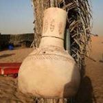 Profile Picture of Dawn Solis (@solisp6984) on Instagram