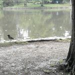 sancho panza - Instagram Profile Picture of sancho panza (@rebecca.peltzer) on Instagram