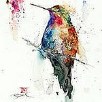 Profile Picture of Linda Waiblinger (@linnyw@internode.on.net) on Flickr