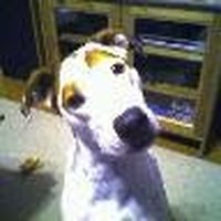 Profile Picture of Jonathan Mullen (@jonathan-mullen-28) on Quora