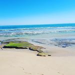 Profile Picture of levi randall (@_.levi.randall._) on Instagram