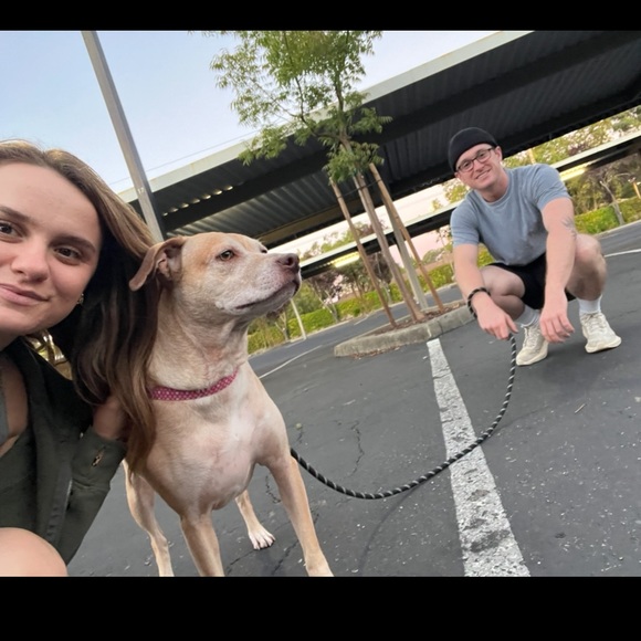 Profile Picture of Brett Knowles (@bretttknowles) on Poshmark