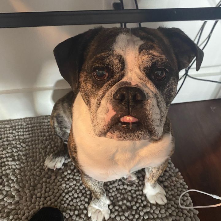 Profile Picture of andrewdiner85 (@andrewdiner85) on Tiktok