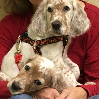 Profile Picture of Renee Martineau (@renee.martineau.92798) on Facebook