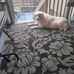 Profile Picture of Ronald Atchison (@ronald.atchison.92) on Facebook