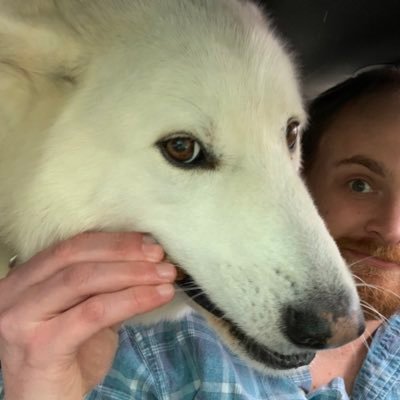 Profile Picture of Tommy Hefner (@TommyHefner) on Twitter