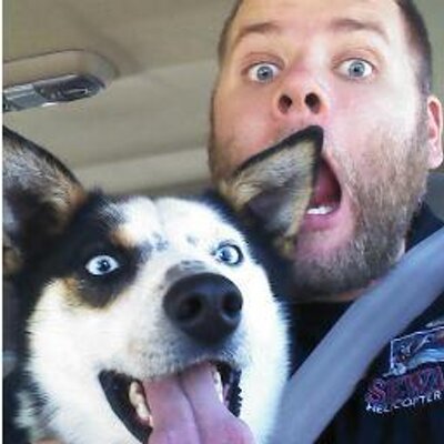Profile Picture of Kyle Shepard (@tobelingrey) on Twitter
