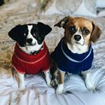 Profile Picture of Bernice & Cooper (@bernicecoop) on Instagram