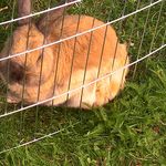 Profile Picture of Jeanette Farmer (@jeanette_farmer) on Instagram