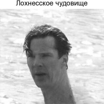 Profile Picture of Andrew Kuznetsov (@AndrewK75837663) on Twitter