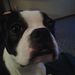 Profile Picture of kim holtzapple (@5mamakh) on Pinterest
