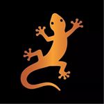 Profile Picture of Fellipe Krein(Mooca) (@fellipekrein.mooca) on Instagram