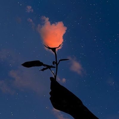 Profile Picture of Cassandra Beltran (@CassandraBelt12) on Twitter