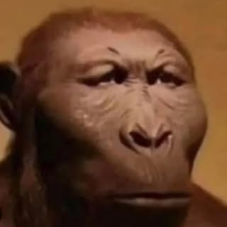 Profile Picture of Daniel Bigham (@bigham.daniel) on Instagram