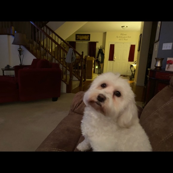 Kim Savage - Poshmark Profile Picture of Kim Savage (@kimsavage927) on Poshmark