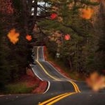 Profile Picture of Suma George (@sumageo) on Instagram