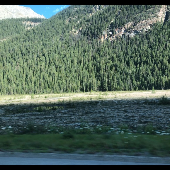 Profile Picture of Kiran Virdi (@kiranvirdi) on Poshmark