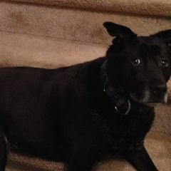 Profile Picture of samiskowitz (@samiskowitz) on Tiktok