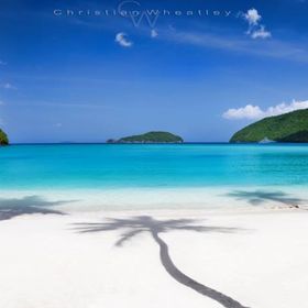 Profile Picture of Annie Trieu (@glamorme) on Pinterest