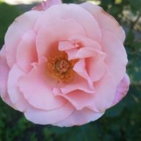 Profile Picture of Jerri Klein (@jerri-klein) on Quora