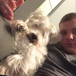 Profile Picture of Aaron Scanlon (@aaronscanlon) on Instagram