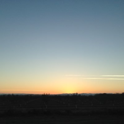Profile Picture of Yao Wang (@ScottYao) on Twitter