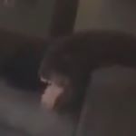 Profile Picture of Nigel Haynes (@nigel6544321) on Instagram