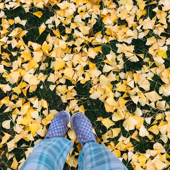 Profile Picture of Dana Passchier (@danapasschier) on Poshmark
