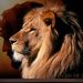 Profile Picture of Dawn Grubbs (@crosscarrier1) on Pinterest