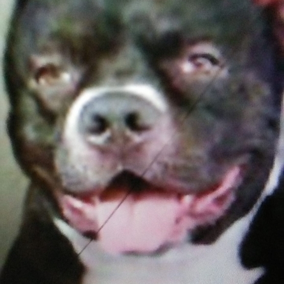 Profile Picture of Catherine Moore (@catherinemoo794) on Poshmark