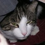 Profile Picture of Terry Pinette (@terrypinette) on Instagram