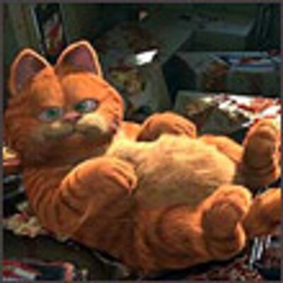 Profile Picture of Nancy Schlegel (@thase19451) on Twitter