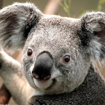 Profile Picture of David Imhof (@krueger011) on Twitter