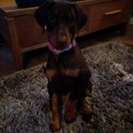Profile Picture of Jill Miller (@jill.miller.2361) on Instagram