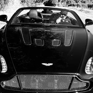 Profile Picture of   Filiberto Silva (@fillauz)... (@fillauz) on Tiktok