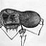 Profile Picture of Richard Lee (@richyeel) on Flickr