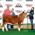 Profile Picture of Jeremy Ramey (RT Simmentals) (@jeremy.ramey.3) on Facebook