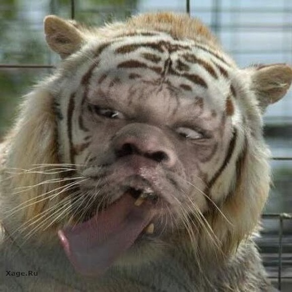 Profile Picture of William Boshart!!!! (@cwbhart) on Poshmark